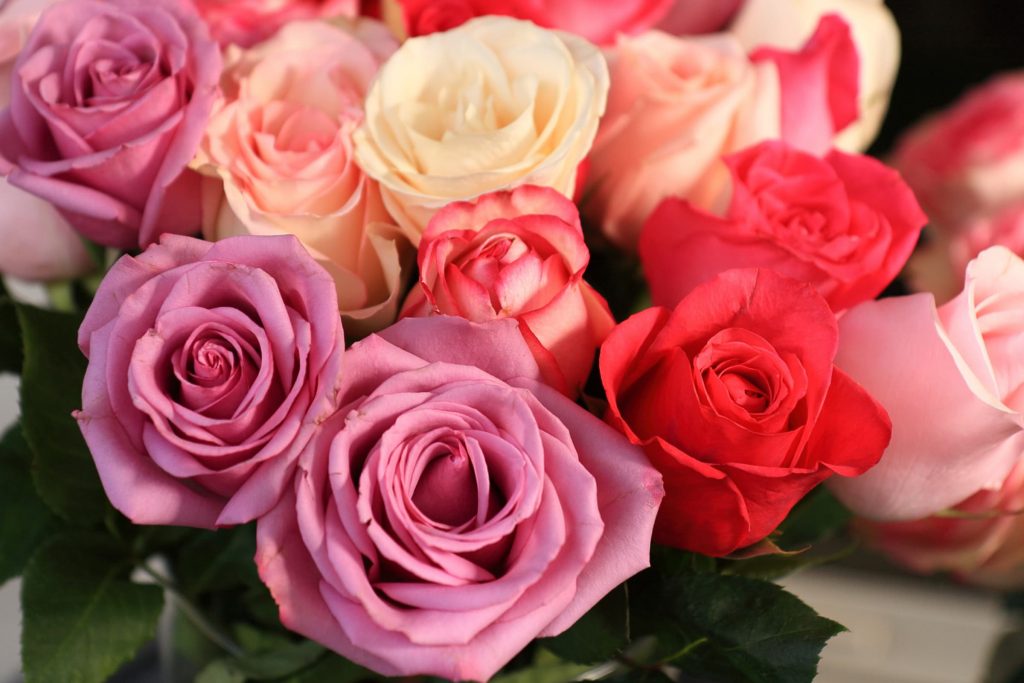 Цветни бижута: Как да изберете уникален букет рози, който да остави впечатление
